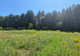 działka na sprzedaż - Grudziądz (gw), Marusza