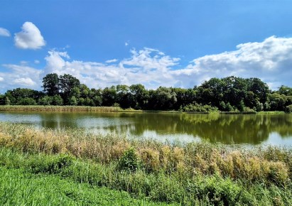 działka na sprzedaż - Książki, Łopatki