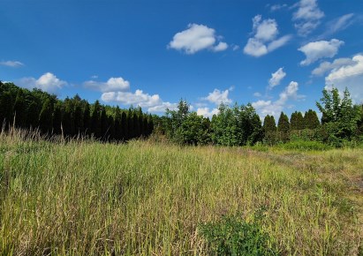 działka na sprzedaż - Grudziądz (gw), Pieńki Królewskie