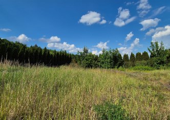 działka na sprzedaż - Grudziądz (gw), Pieńki Królewskie